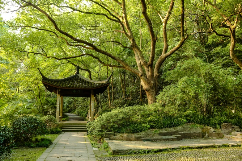 a gazebo surrounded by greenery and trees with stone pathway