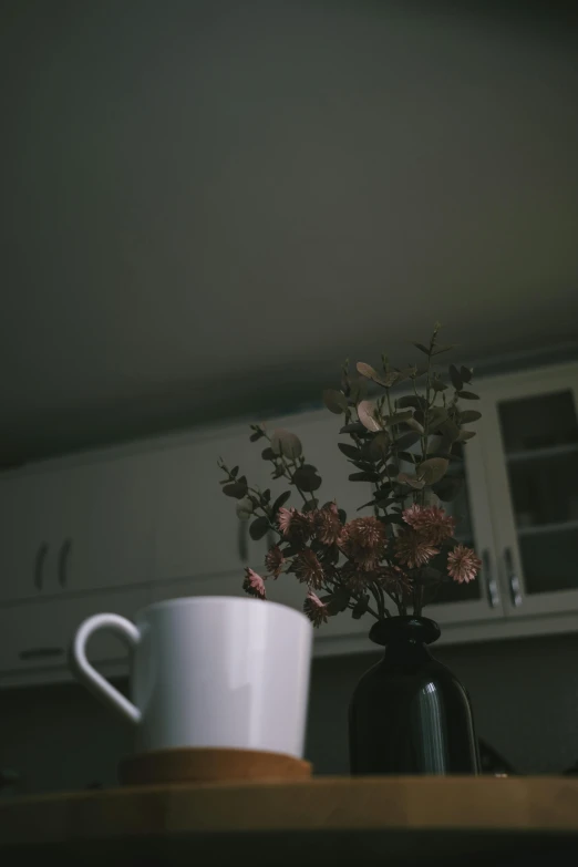 a mug sits on top of a table next to a plant