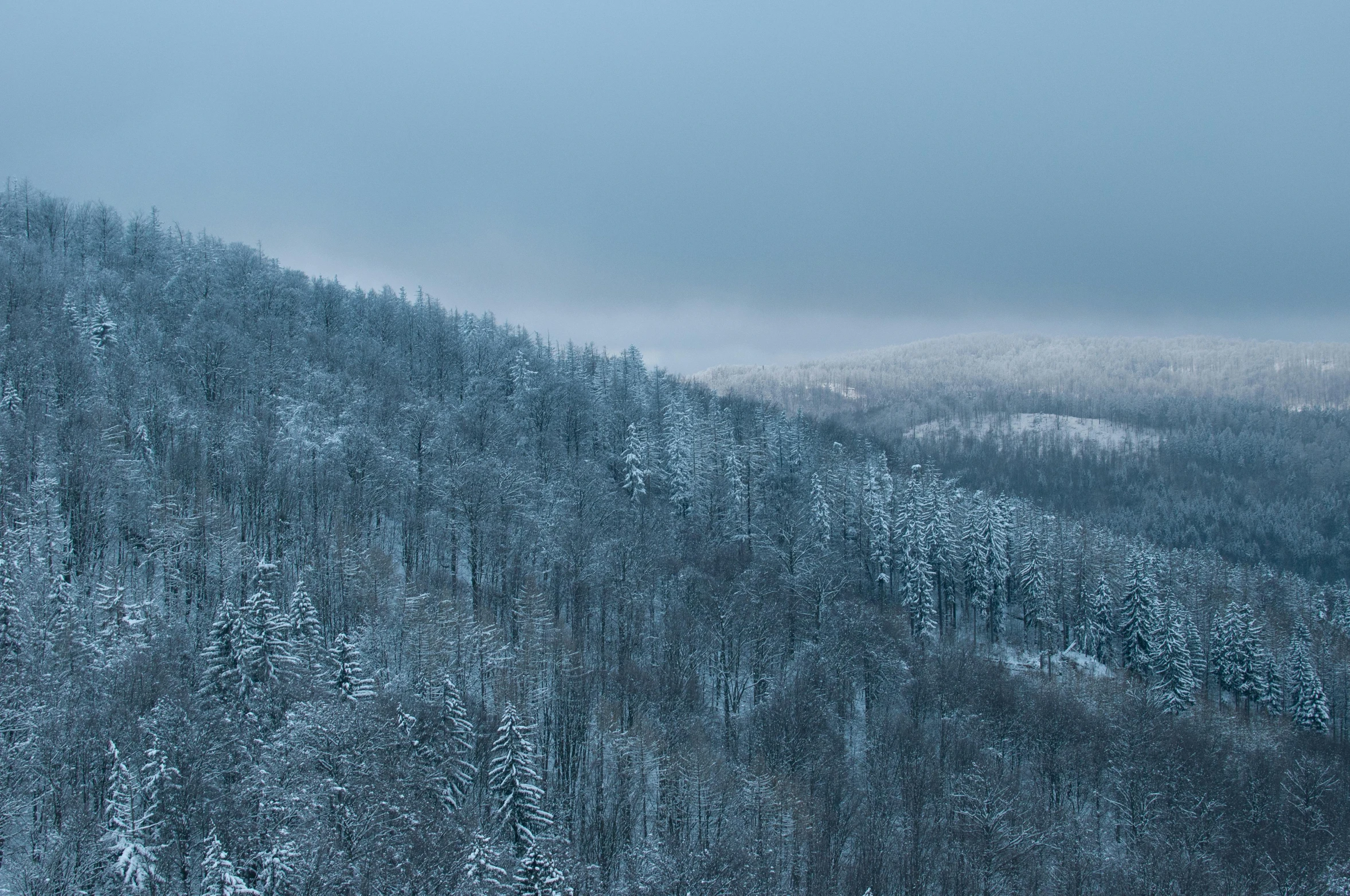 the view of a snow covered mountain from the top of a hill