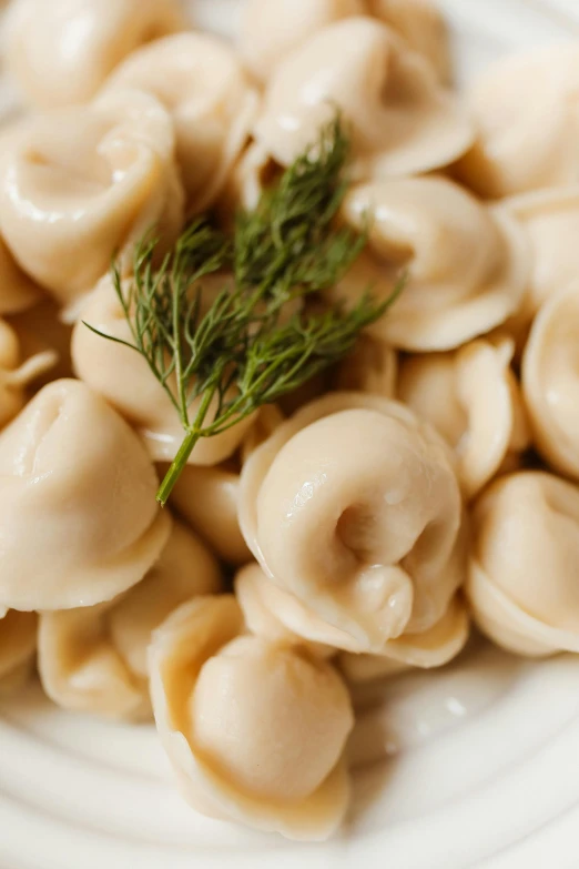 a plate with a small bunch of gnocchini on it