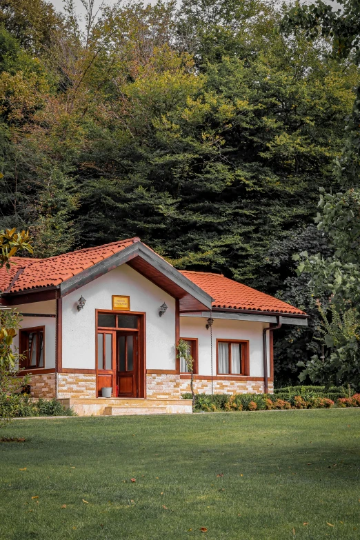 a home in the woods with lots of greenery