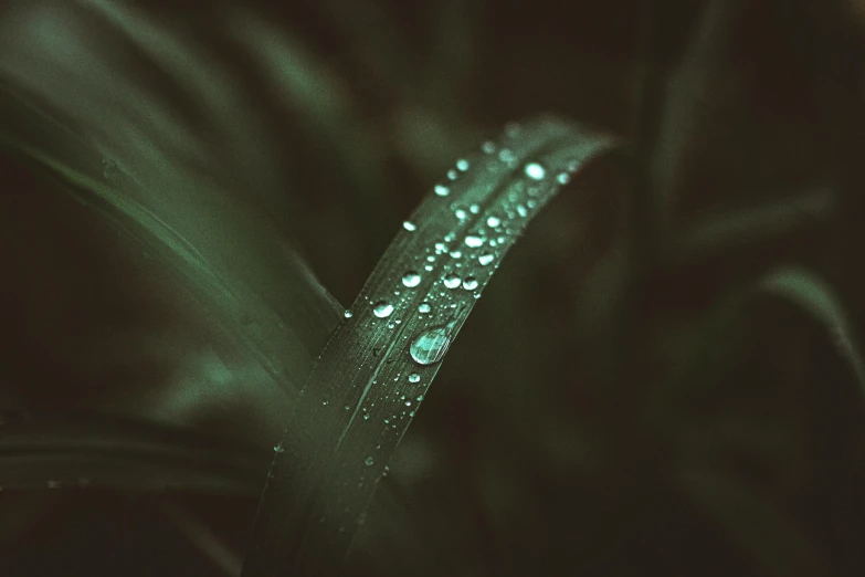 a black fabric with some green water drops