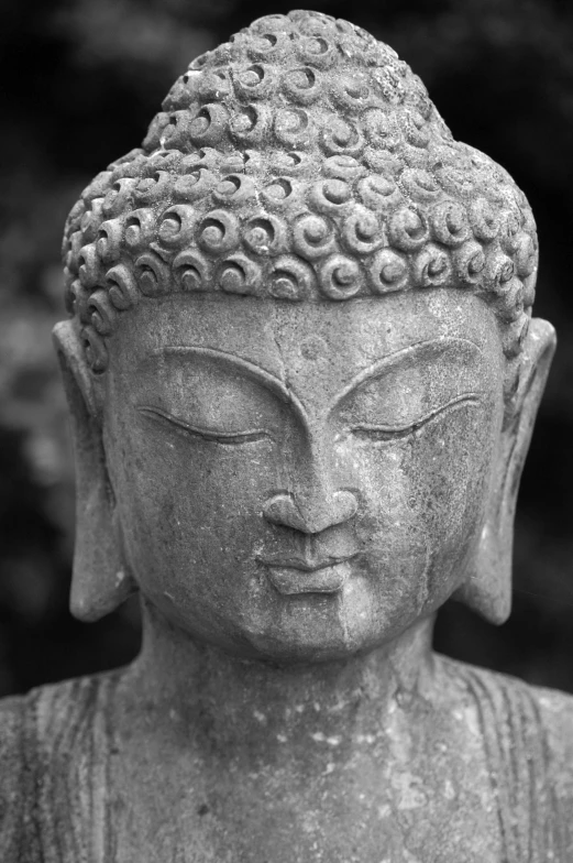 statue of buddha in the background with trees in the background