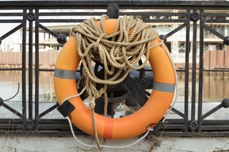 life buoy and rope hanging on fence next to building