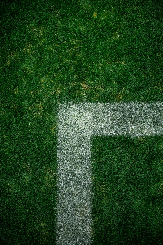 a white arrow drawn on the grass with a marker