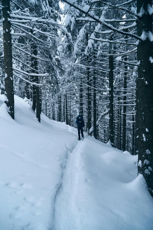 man hiking up hill on snowy path in woods