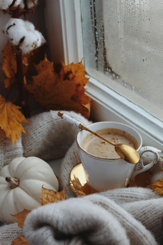 an autumn window sill, warm autumn scene, with white pumpkins and warm warm weather outside