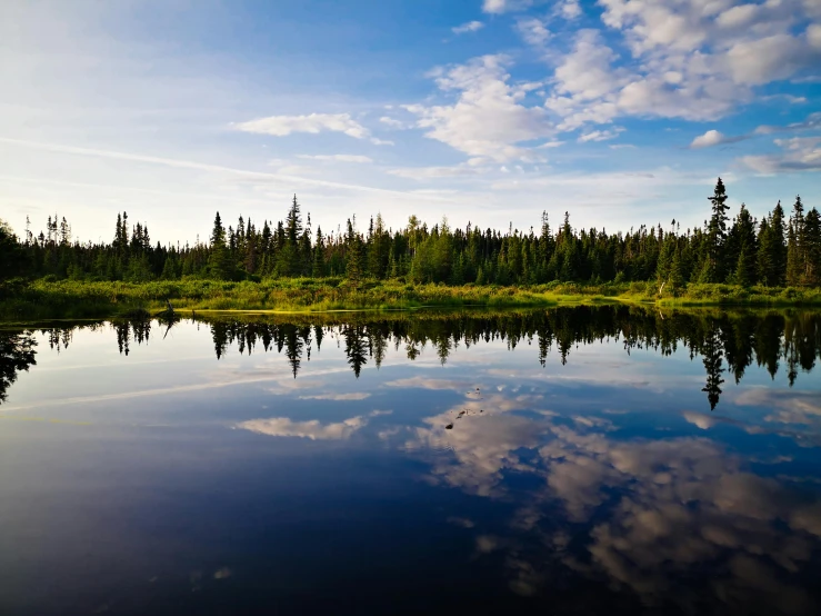 a quiet lake in the woods on a clear day