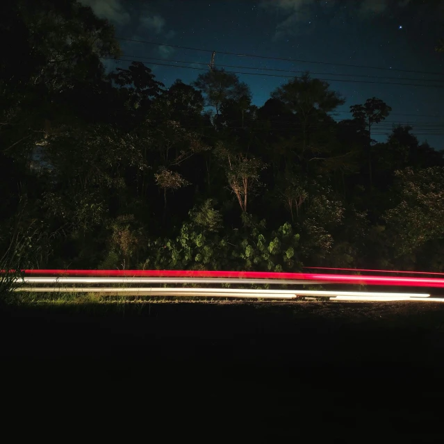 a po of some trees at night with long exposure