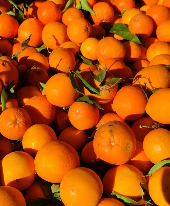 a group of oranges on the ground outside