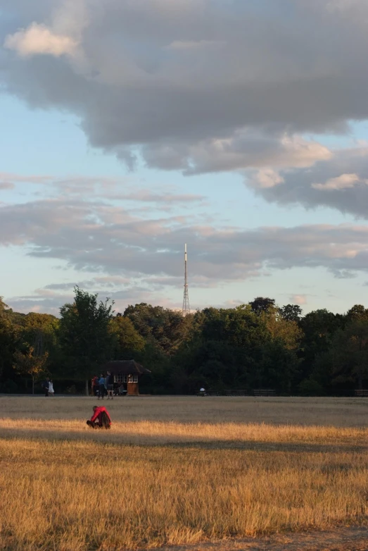 a couple of animals walking across a dry grass field