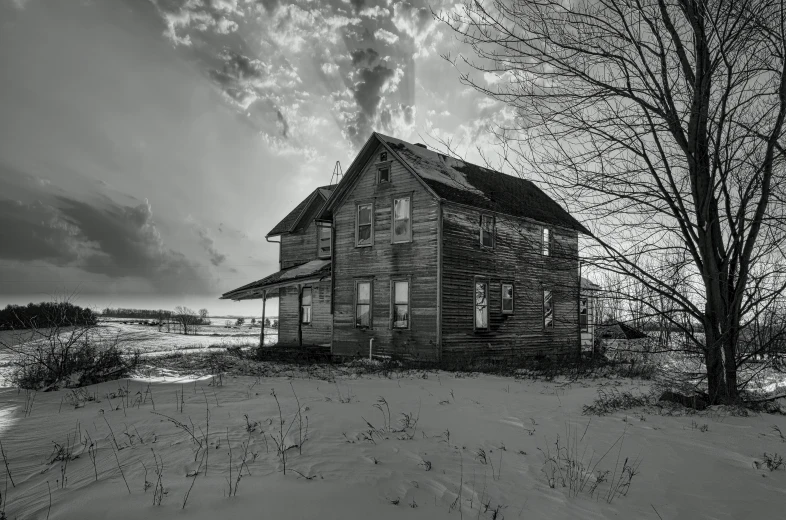 an old dilapidated house in black and white near a tree