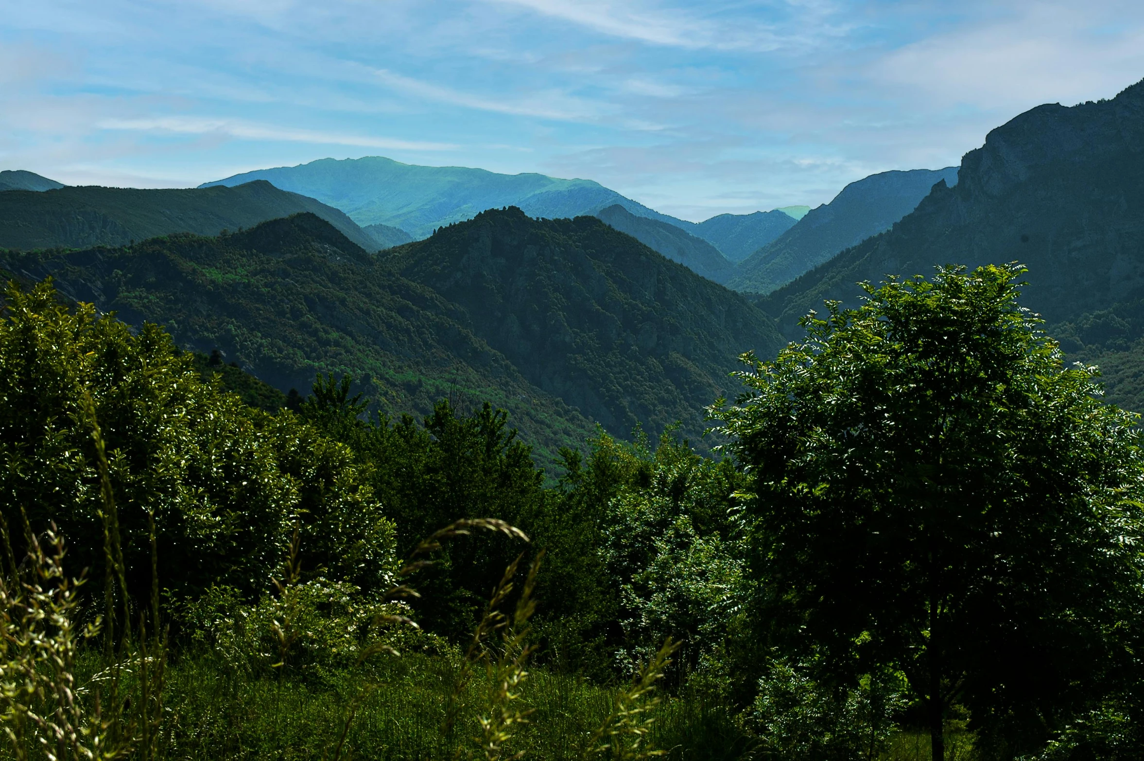 mountain view of mountains from a grassy hill