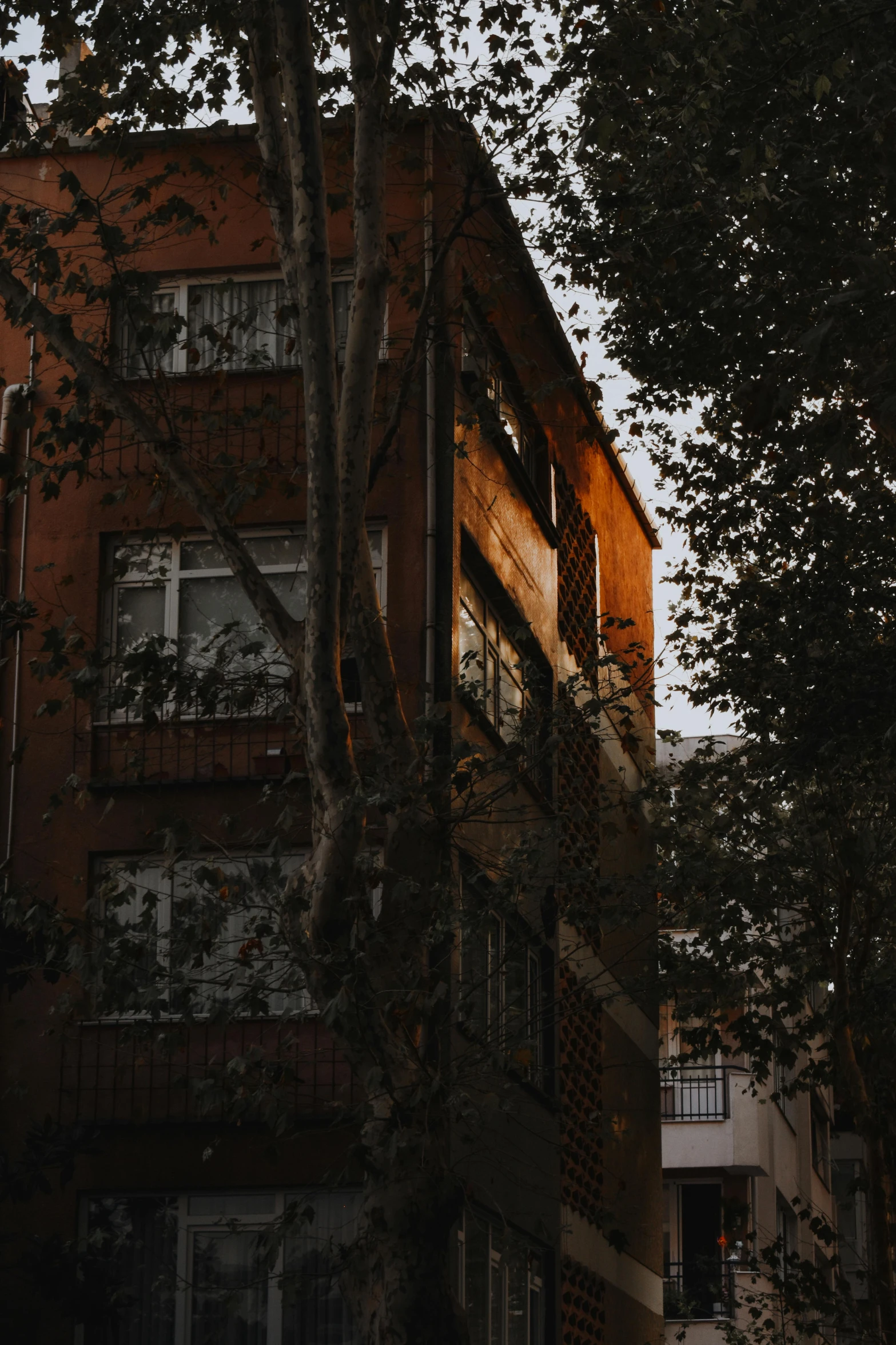 a tall building with multiple windows and lots of trees