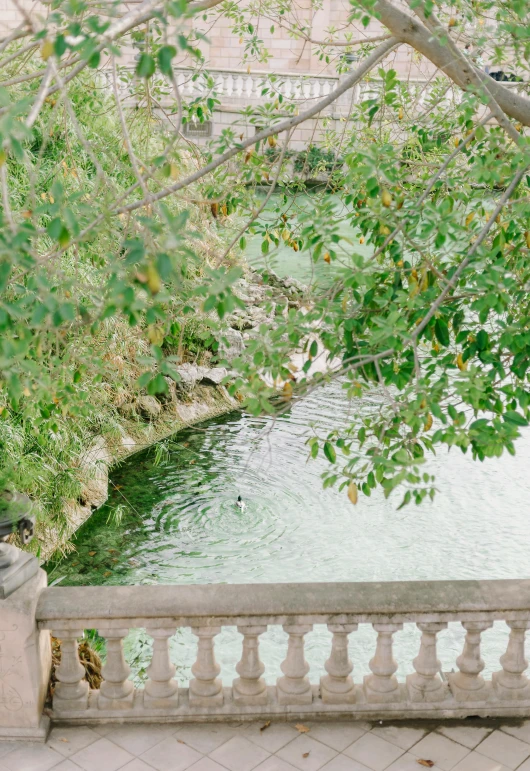 the bridge has trees near it and water below