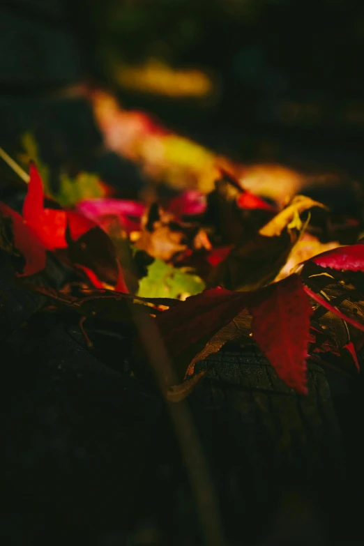 a yellow clock is seen in front of fall leaves