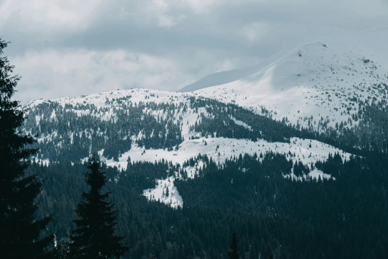 a snow covered mountain with some trees and sky