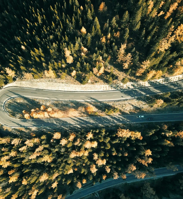 a road winding up into the distance with trees