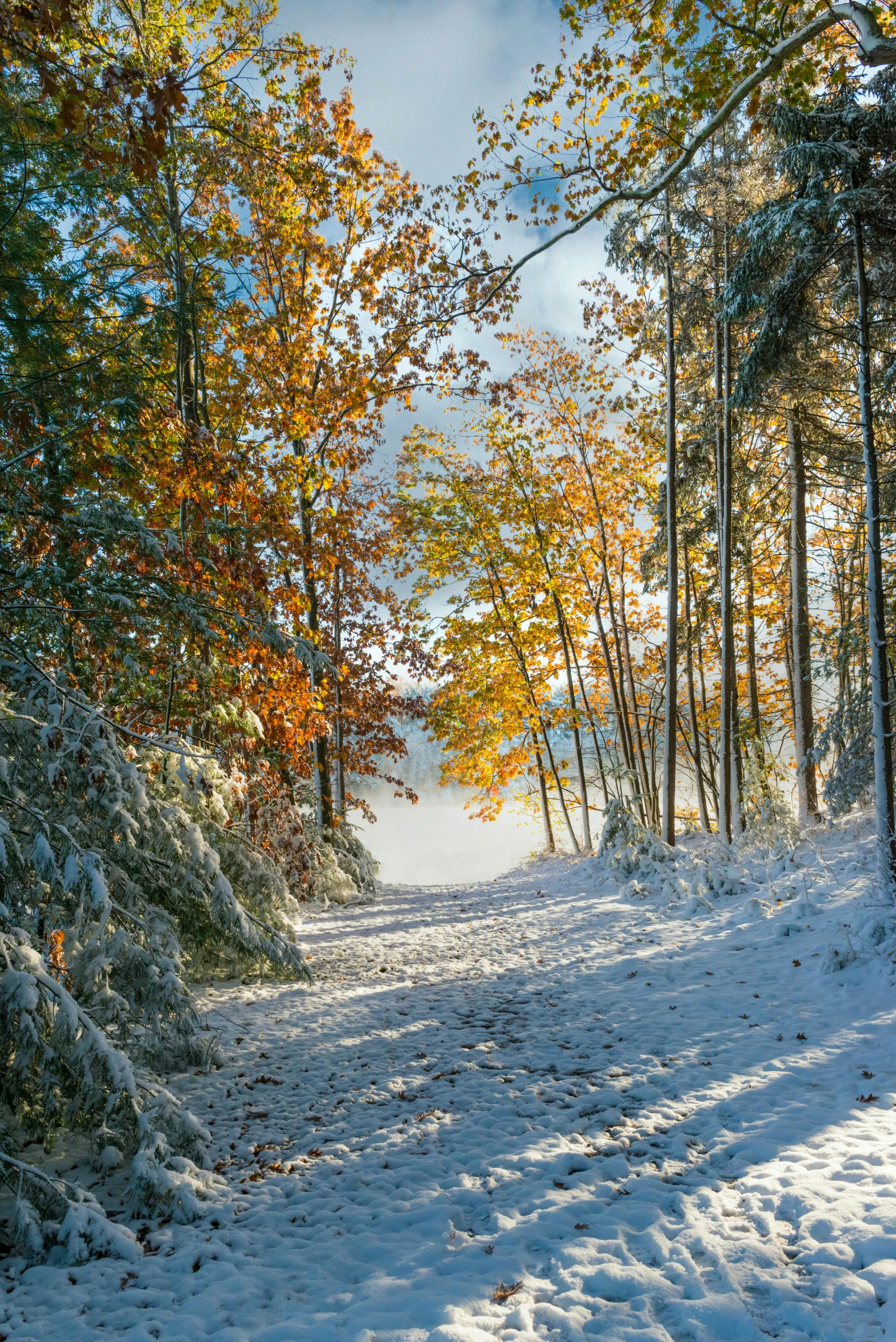 a road that is surrounded by trees and covered in snow