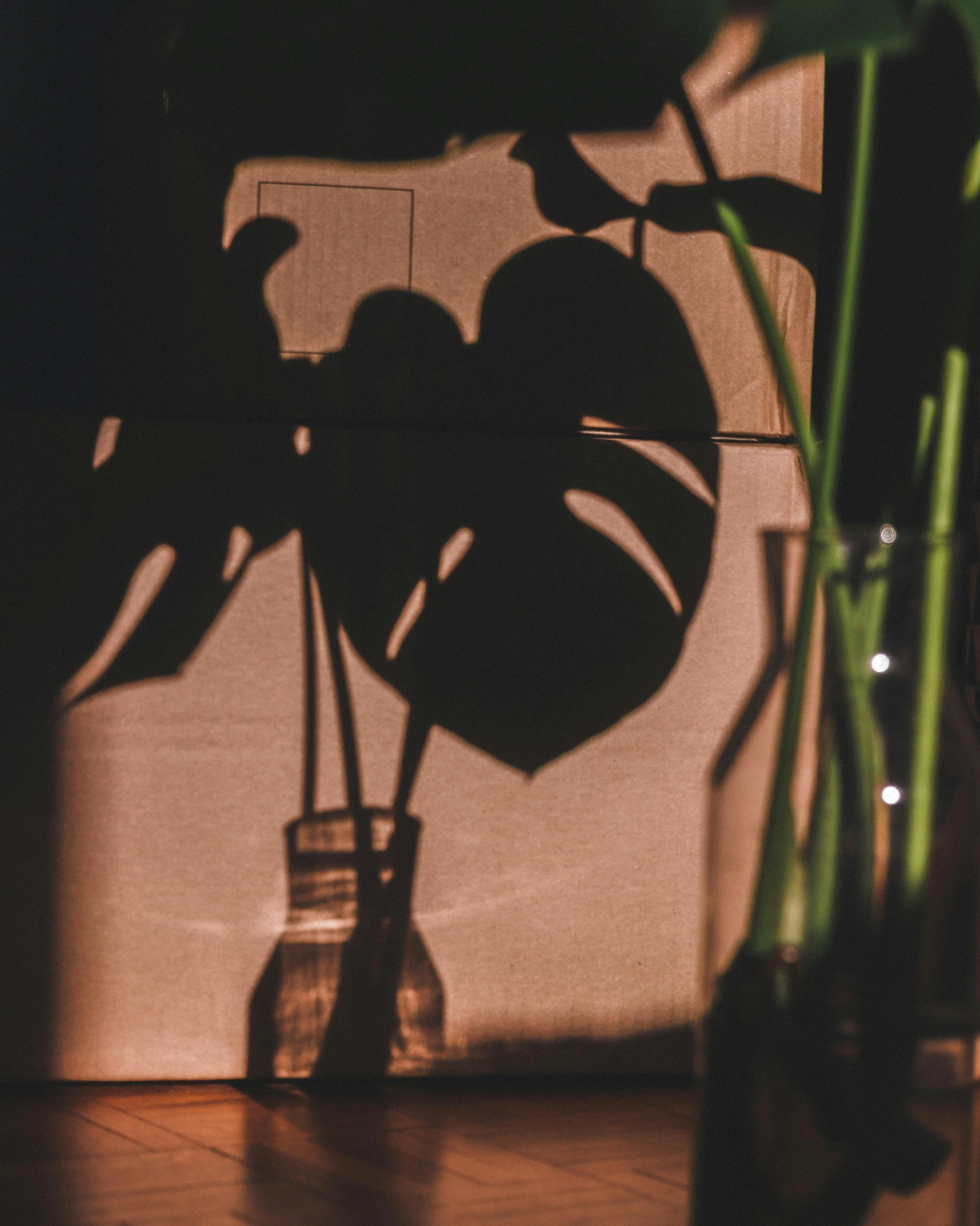 a glass with some water and a plant in it