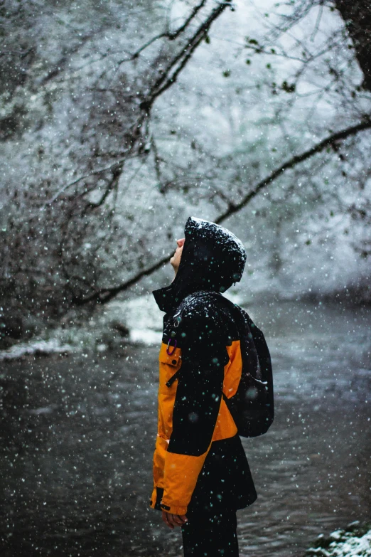 a person in a hat and coat stands in the snow