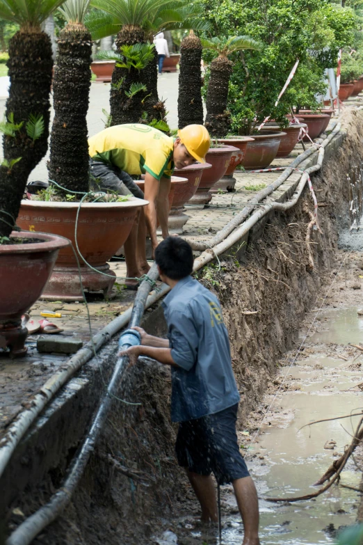 a man uses a hose to clean a garden