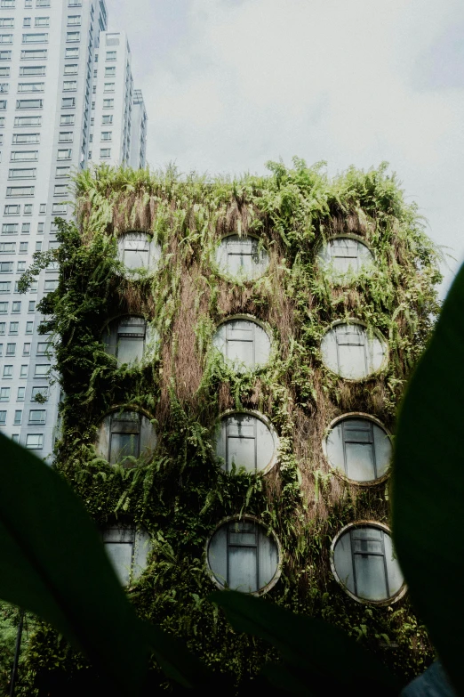 the facade of a building covered in vines