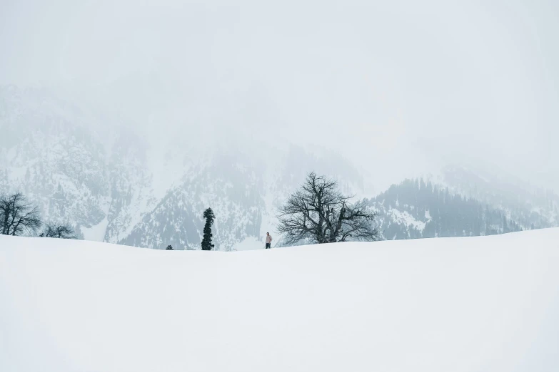 two skiers on a slope and trees in the fog