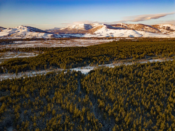 a aerial view of mountains with forest, snow and trees