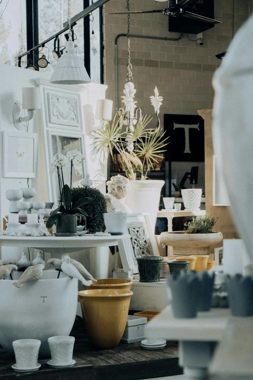 a view of various plants in pots on a table