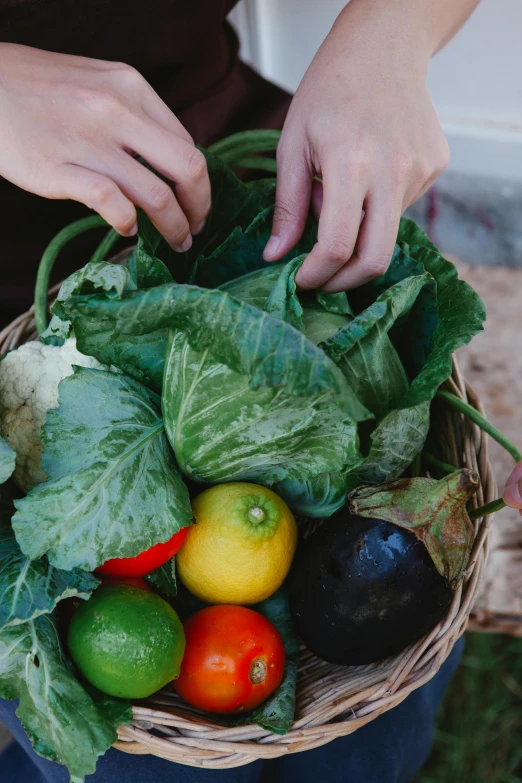 a person placing fruit into a basket on top of grass