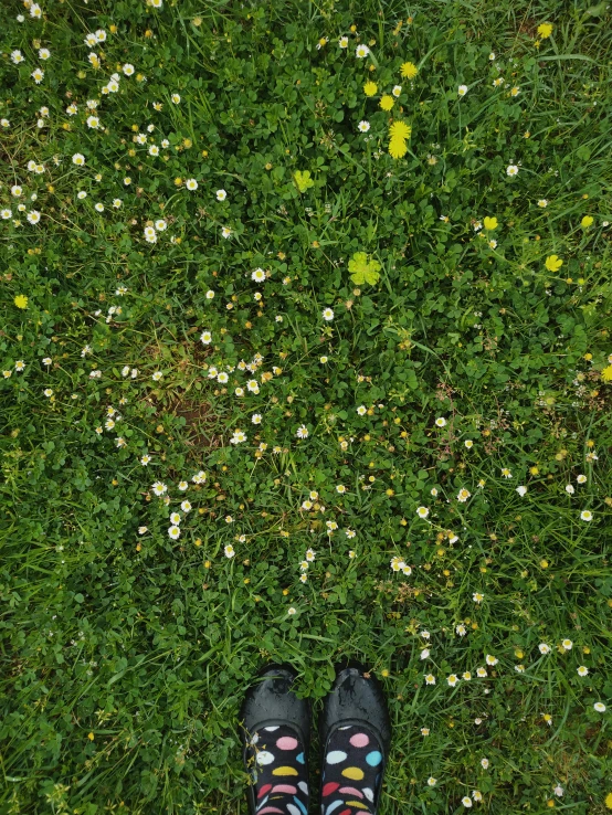 a pair of shoes standing next to green grass