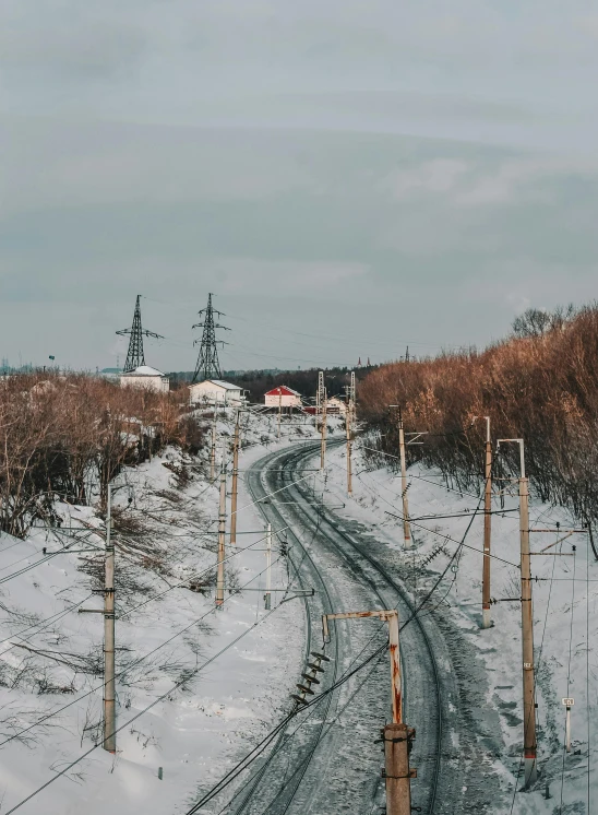 a road through some snowy brush lined with telephone poles