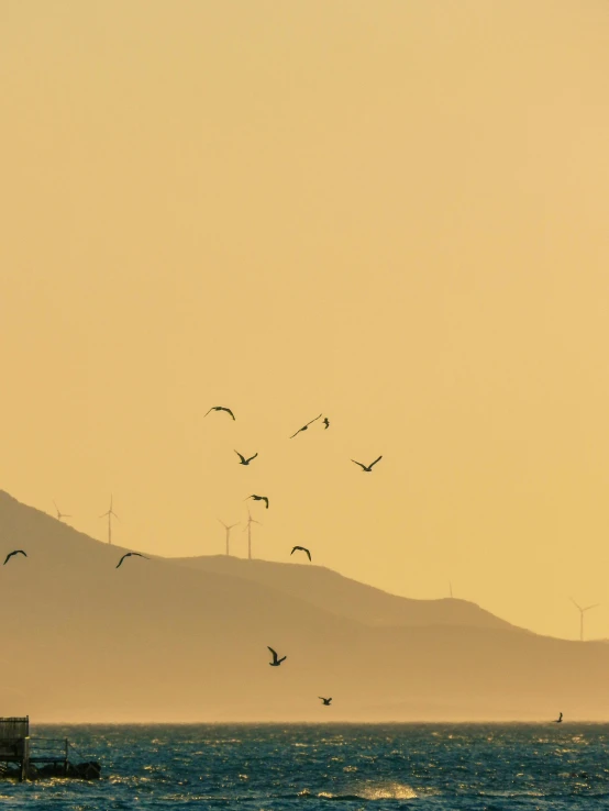 a view of many birds flying in the air over the ocean