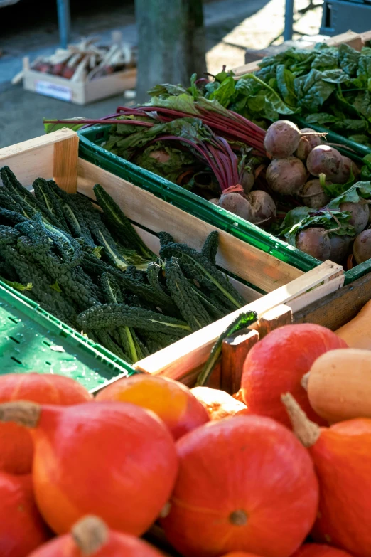 vegetables are sitting on display at an outdoor market