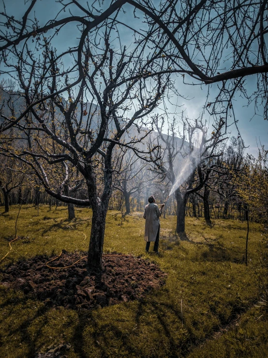 a man standing in a field with trees spraying water