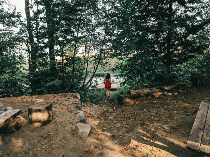 there are two benches and some trees in the woods