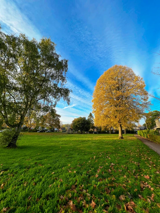 the path runs between two trees that are turning gold and red