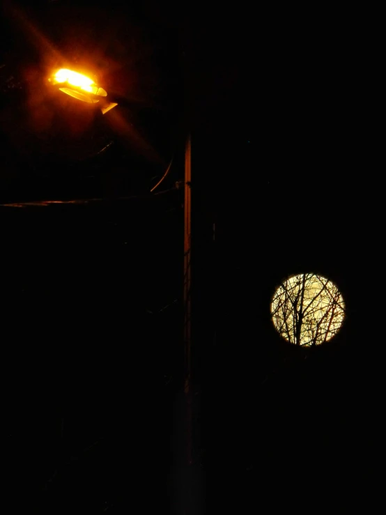 a street lamp in the dark and a tree in front of it
