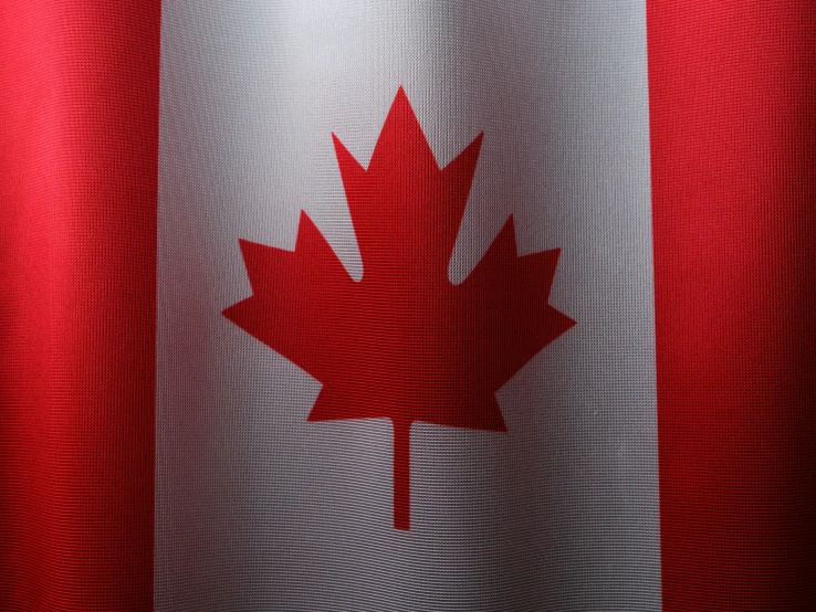 a canadian flag is seen through mesh netting