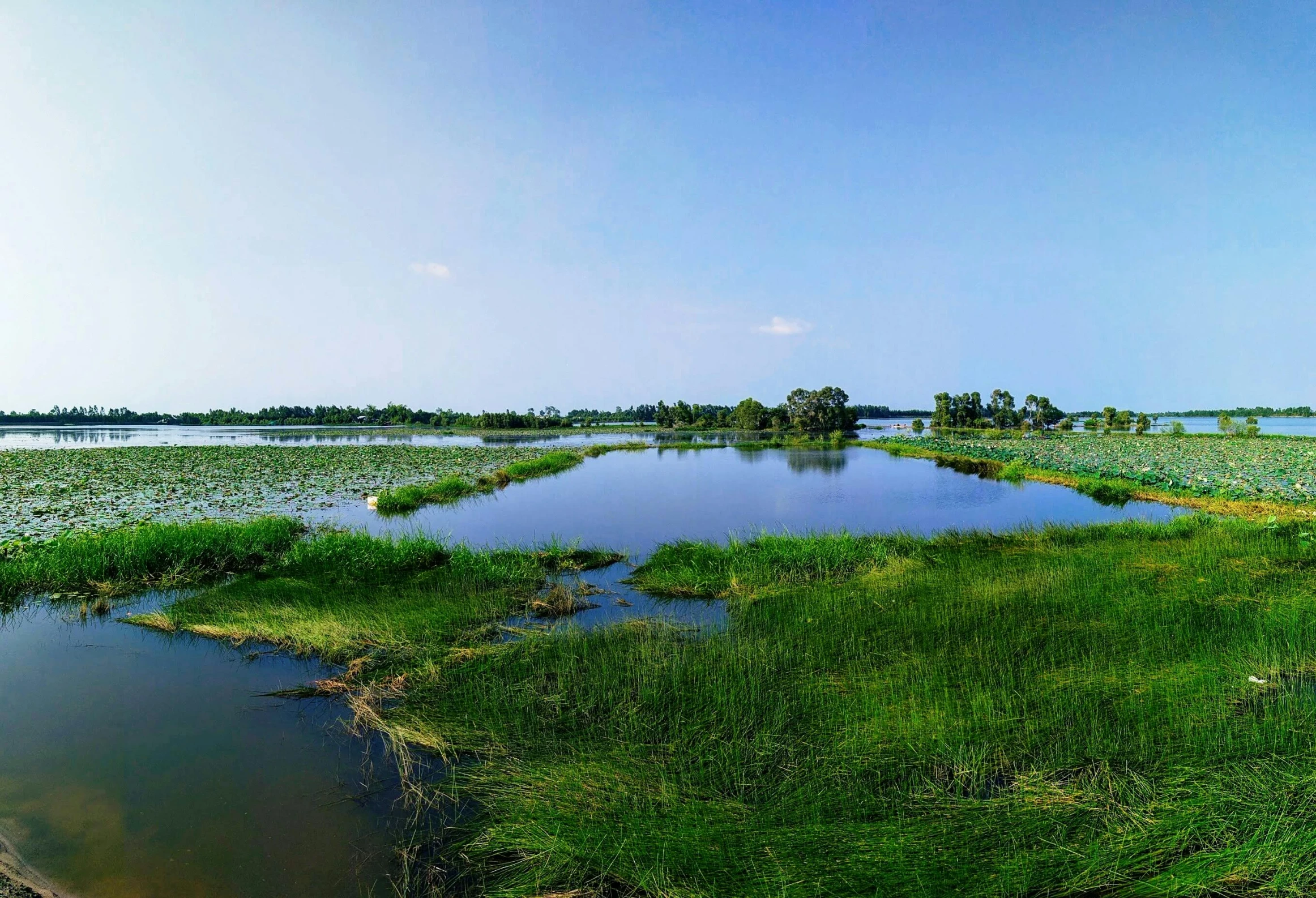 a big lake that is in the middle of a field