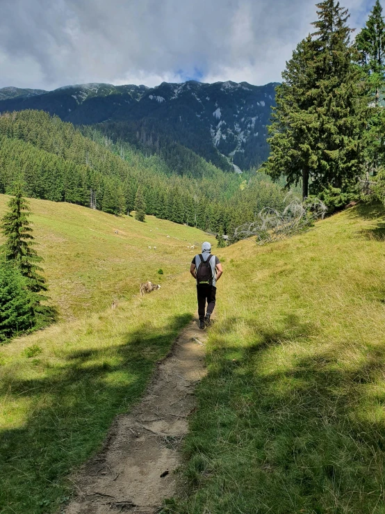 a hiker in the middle of a green mountain