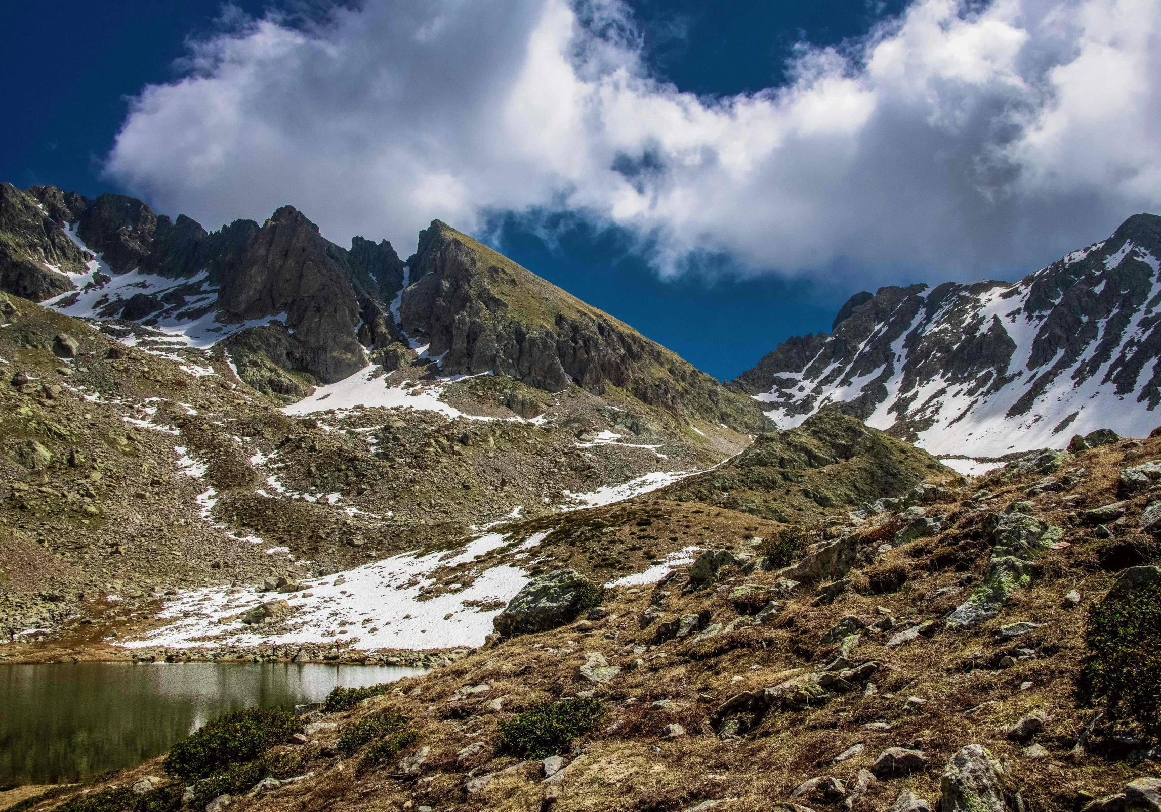 there are many mountains with sp vegetation and very high hills