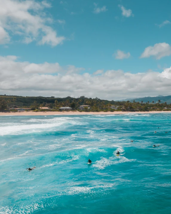 several people swimming in the ocean, on their boards