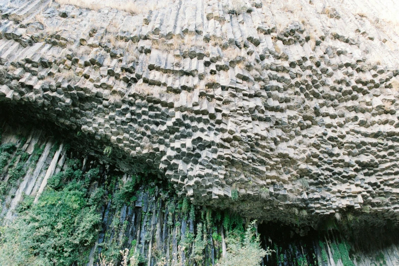 the large rock face is covered by termite