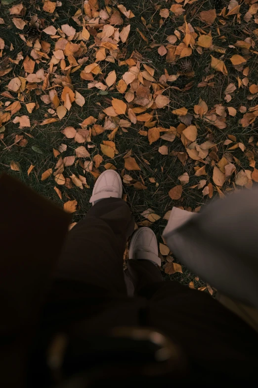 feet in sneakers next to leaves on grass