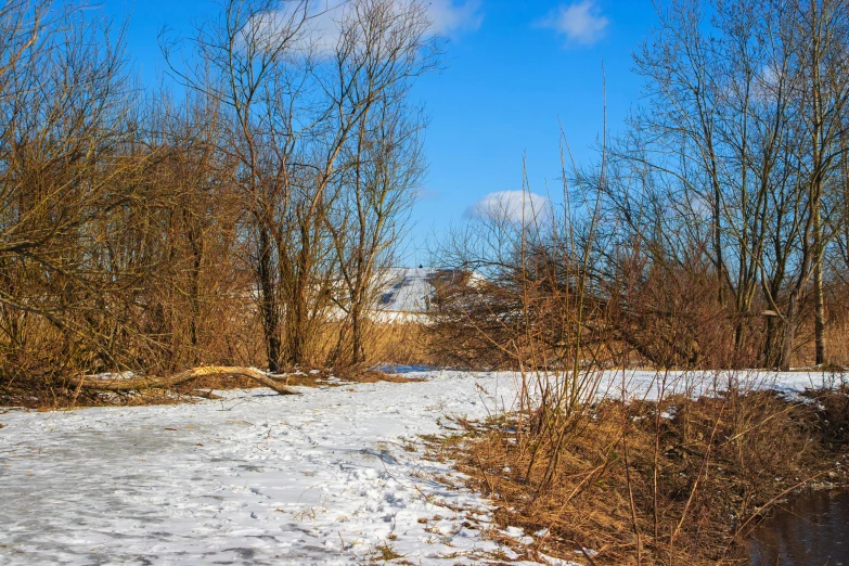 a snow covered path next to a river surrounded by trees