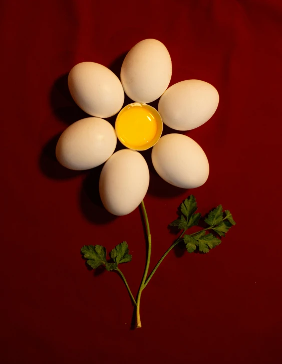 several eggs and a flower on a dark red surface