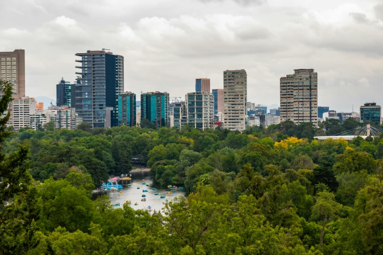 the city view of a park is very scenic