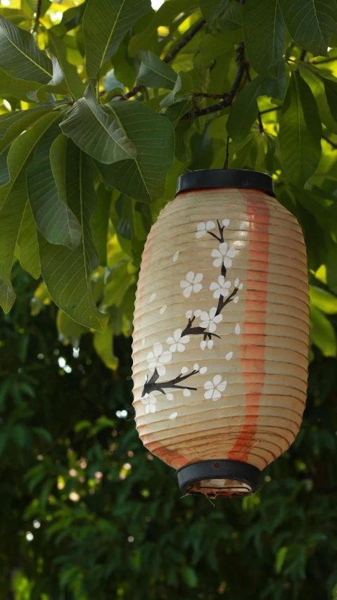 a lantern in the shape of a flower is hanging from a tree